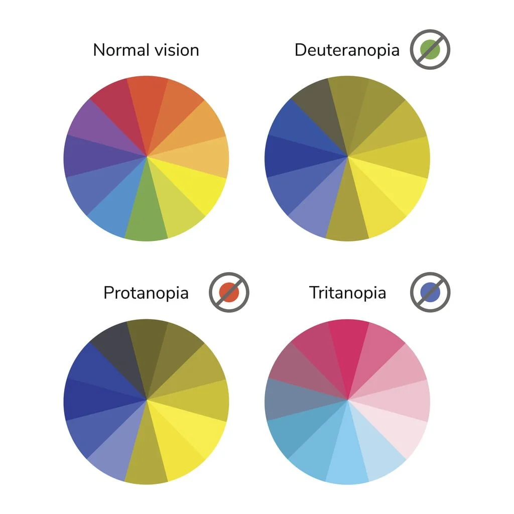 vector illustration, color wheel, colorblind, normal vision, deuteranopia, daltonism, color blindness, tritanopia, protanopia