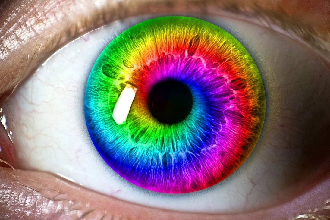 What If You Could See 100 Times More Colors?